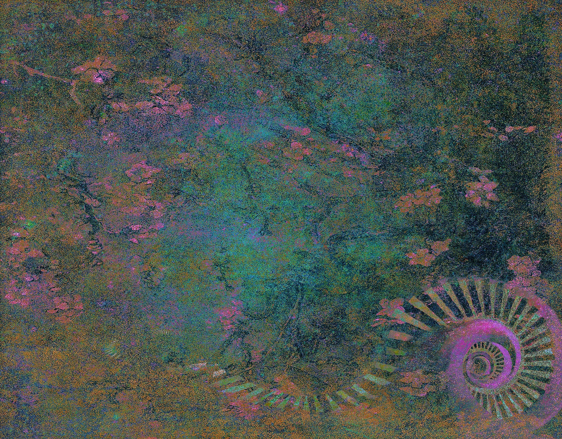 Wonderland