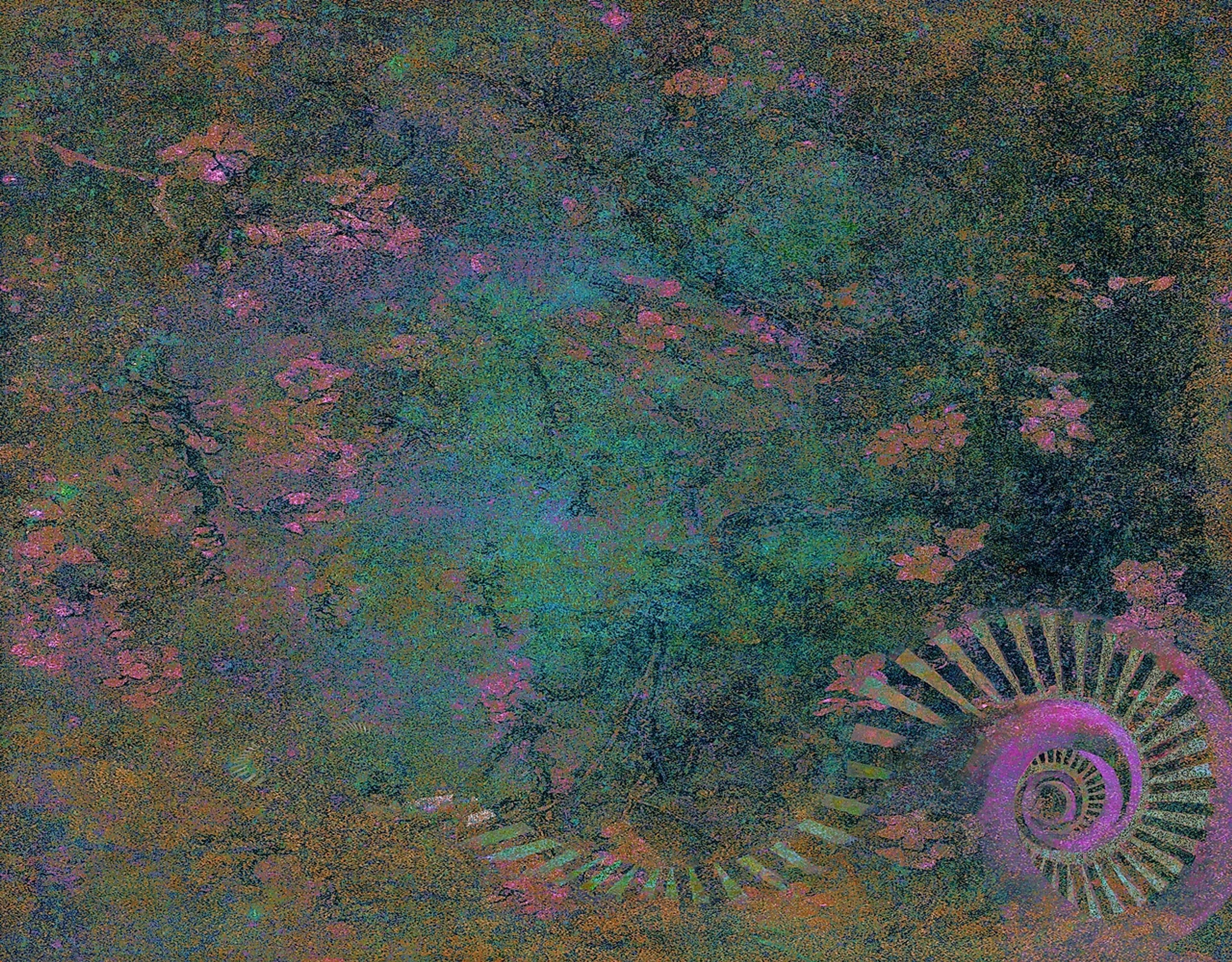 Wonderland